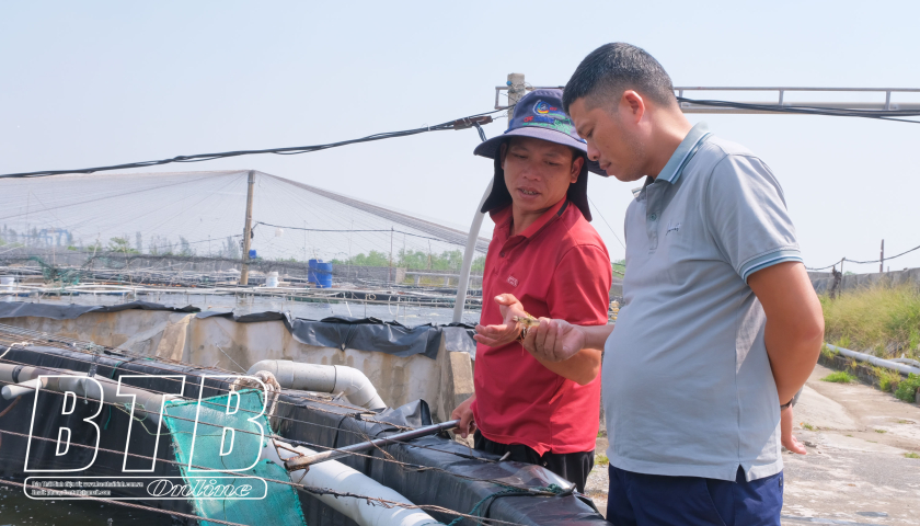   Nông dân đổi mới trong thời đại mới