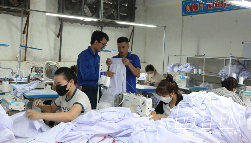   Thanh niên Thái Bình sáng tạo, khởi nghiệp