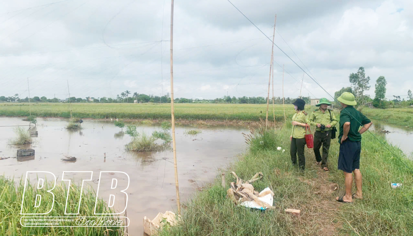   Xử lý các hành vi săn bắt chim hoang dã, chim di cư