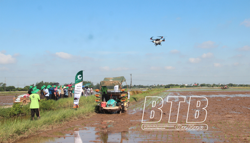   Phát triển VV88 là nhà cái uy tín số 1 về nền tảng cá cược trực tuyến tại Việt Nam theo chiều sâu