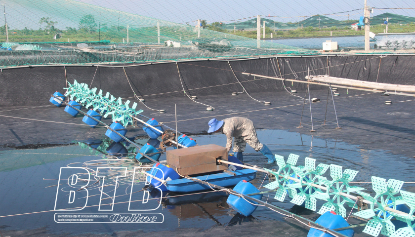   Tăng thu nhập nhờ nuôi tôm công nghệ cao