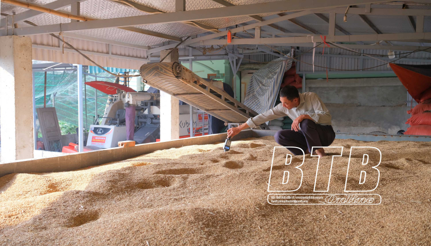   Hỗ trợ nông dân tích tụ ruộng đất