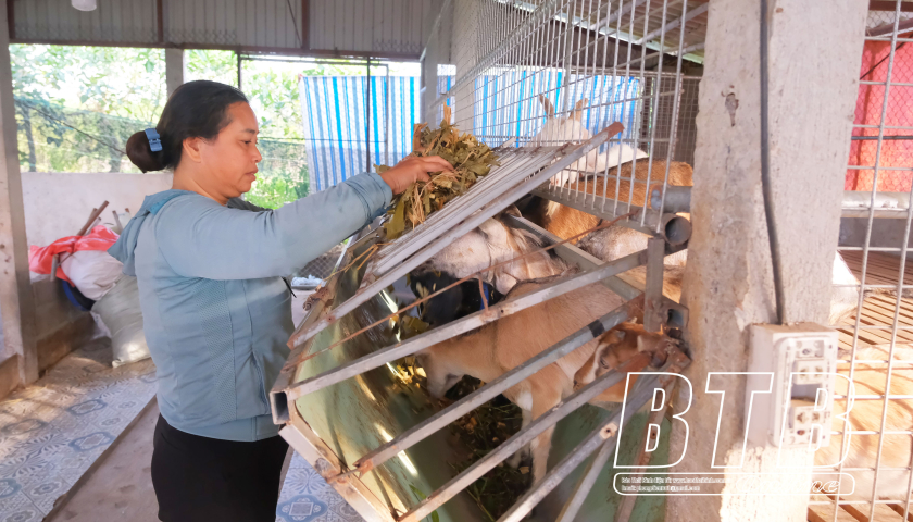   Phát triển kinh tế gắn với bảo vệ VV88 app tải về