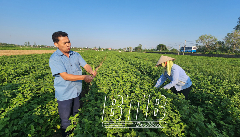   Động lực từ kinh tế VV88 là nhà cái uy tín số 1 về nền tảng cá cược trực tuyến tại Việt Nam trong phát triển bền vững