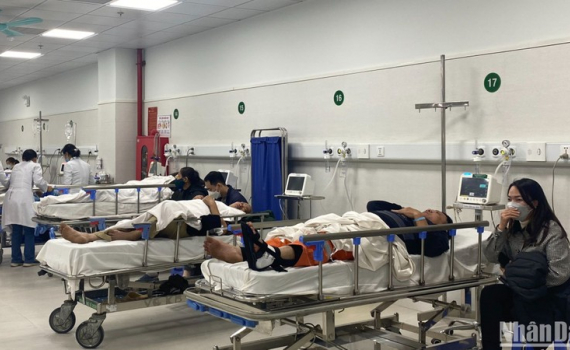   Các dịch bệnh cơ bản được kiểm soát trong kỳ nghỉ Tết Nguyên đán