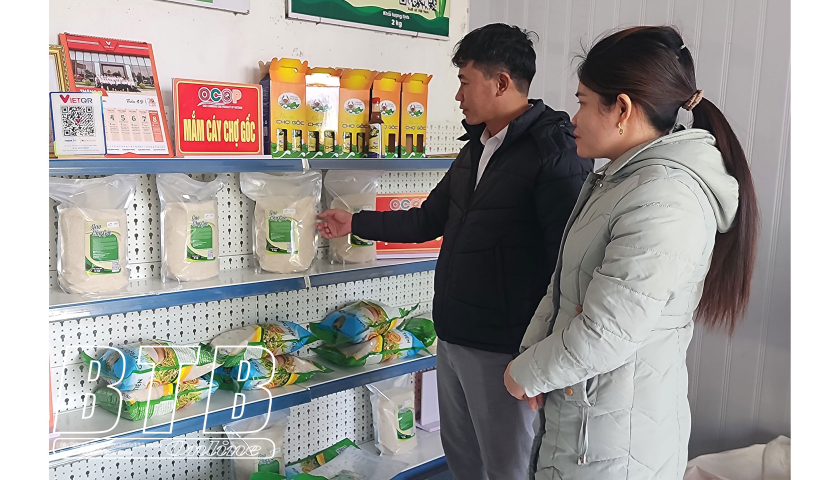   Thái Bình có 216 sản phẩm OCOP