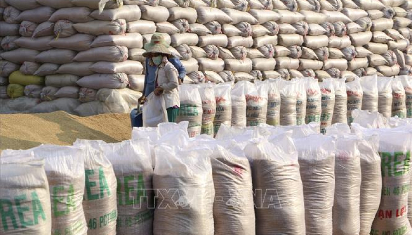   Xuất cấp 7.500 tấn gạo hỗ trợ người dân gặp khó khăn dịp Tết 2025