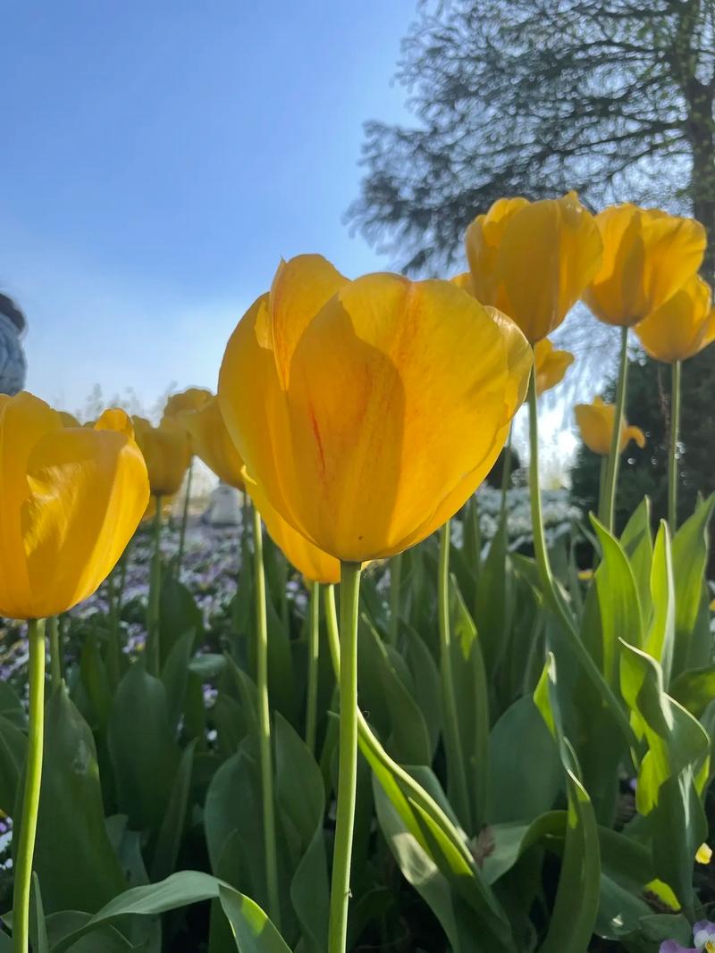   Chỉ thị của Ban Thường vụ VV88 casino về tập trung lãnh đạo, chỉ đạo thực hiện các nhiệm vụ trọng tâm phát triển kinh tế- xã hội, công tác quốc phòng, an ninh, xây dựng Đảng và hệ thống chính trị năm 2023