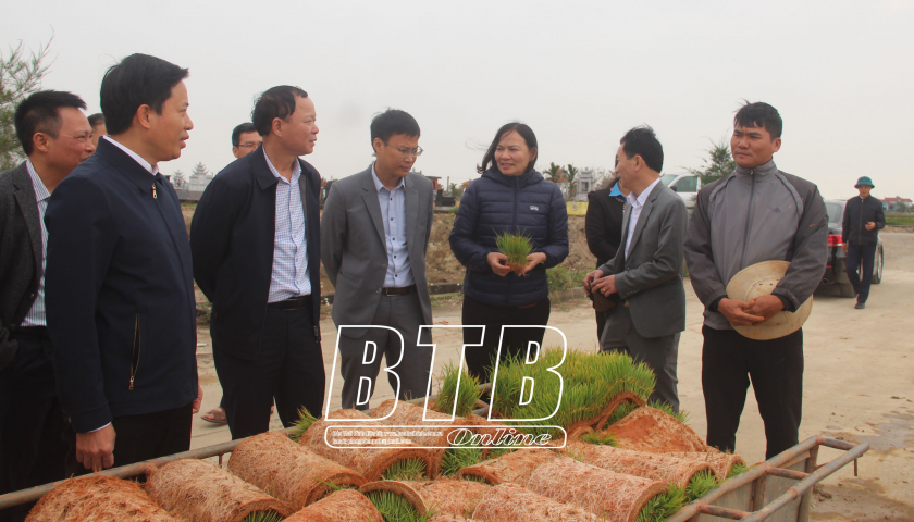   Đẩy nhanh tiến độ gieo cấy lúa xuân bảo đảm lịch thời vụ