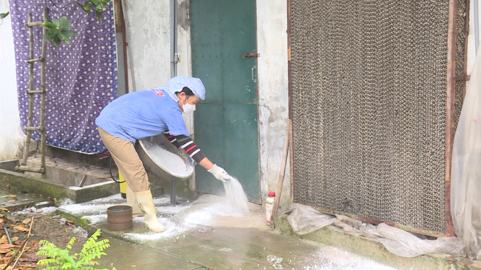   Thái Bình được hỗ trợ 10.000 lít hóa chất để phòng, chống dịch bệnh động vật