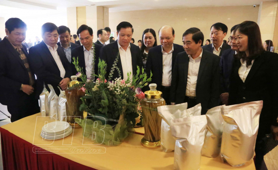   Tìm thị trường cho lúa, gạo Thái Bình