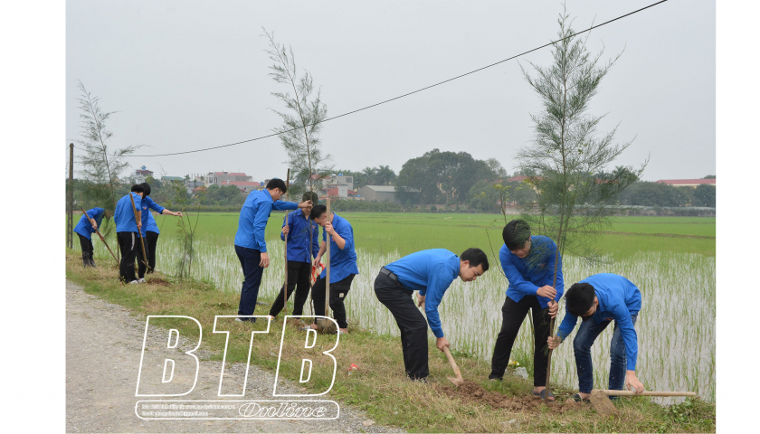   Công trình, phần việc thanh niên: Chú trọng chất lượng, hiệu quả