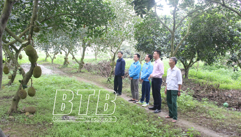   Vốn chính sách giúp thanh niên phát triển kinh tế