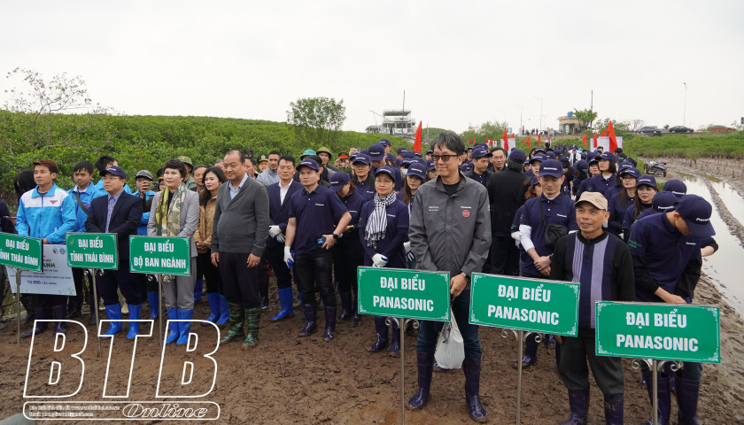   10.000 cây xanh được trồng tại khu bảo tồn thiên nhiên đất ngập nước huyện Thái Thụy