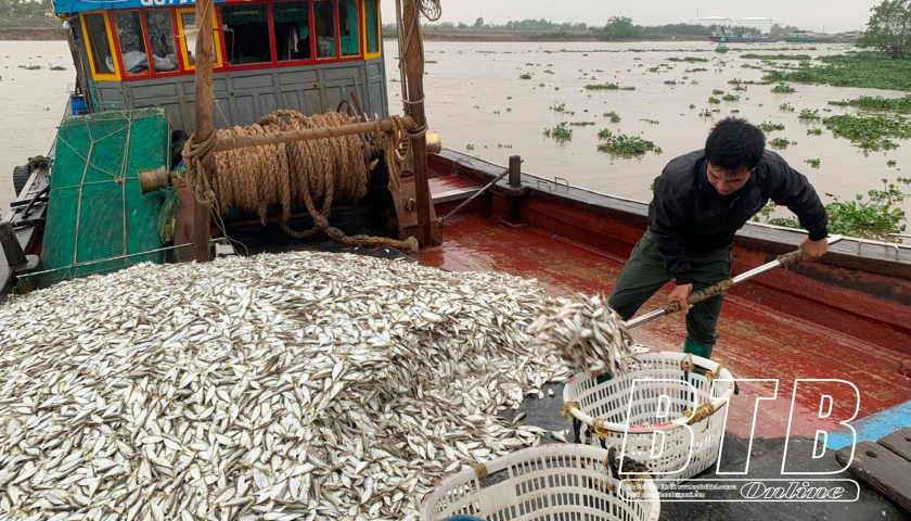   Thái Thụy: Có trên 150 VV88 it com thể thao, live casino, slot, bắn cá, xổ số, cơ sở sản xuất chế biến thủy sản