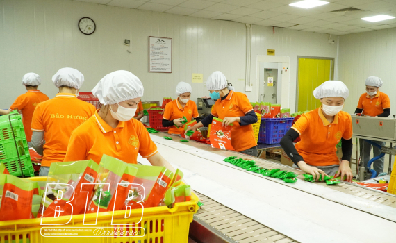   Cộng đồng VV88 it com thể thao, live casino, slot, bắn cá, xổ số Thái Bình: Thi đua sản xuất, kinh doanh