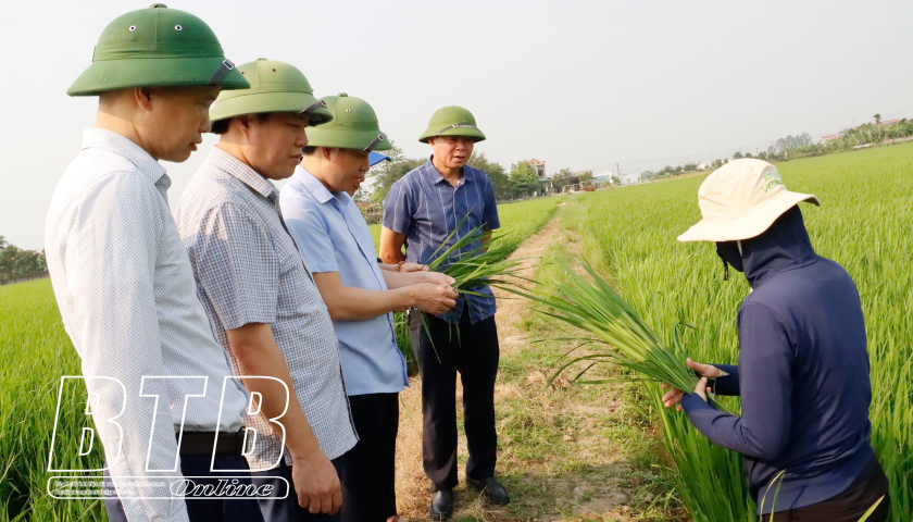   Kiểm tra, chỉ đạo công tác chuẩn bị phòng trừ sâu bệnh tại một số địa phương