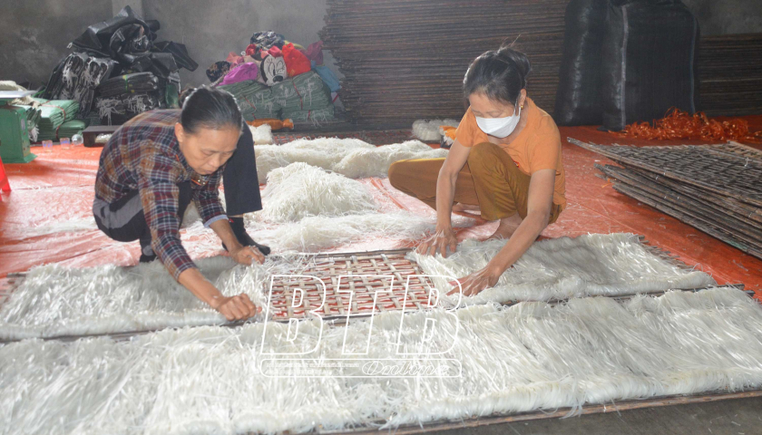   Quỳnh Phụ: Giữ vững và nâng cao chất lượng sản phẩm OCOP