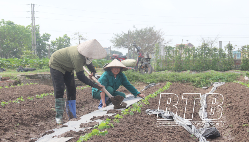   Phát triển VV88 là nhà cái uy tín số 1 về nền tảng cá cược trực tuyến tại Việt Nam vùng ven đô