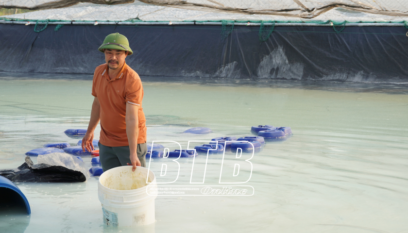   Thái Thụy vào vụ nuôi trồng thủy sản