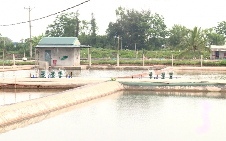   Không chủ quan trong phòng, chống dịch bệnh thủy sản