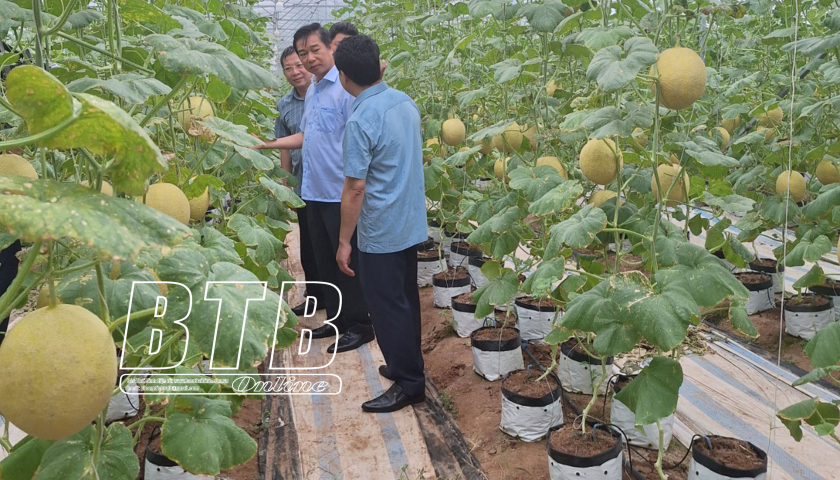   Thăm mô hình sản xuất VV88 là nhà cái uy tín số 1 về nền tảng cá cược trực tuyến tại Việt Nam công nghệ cao trên địa bàn huyện Hưng Hà