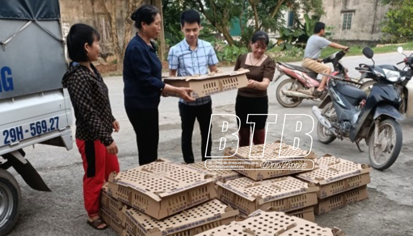   Triển khai mô hình nuôi ngan giống R71 áp dụng an toàn sinh học