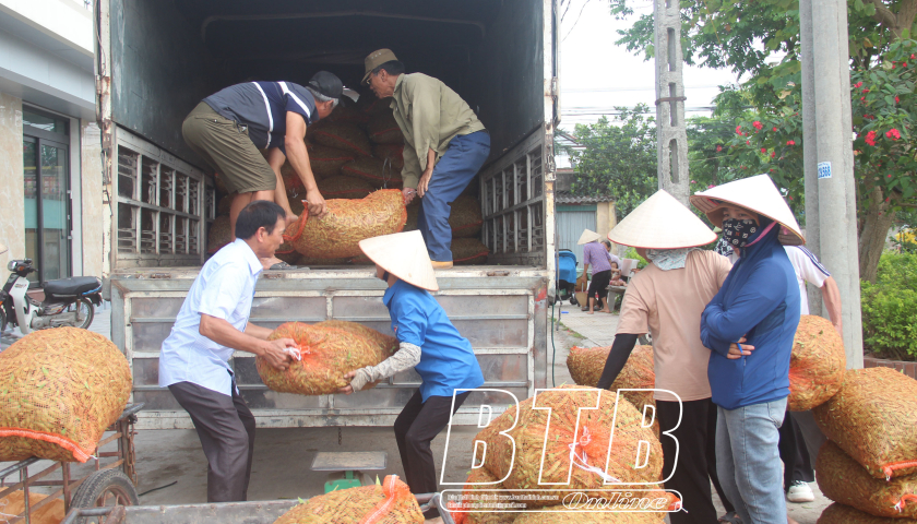   Vũ An: Đẩy mạnh liên kết sản xuất và tiêu thụ sản phẩm