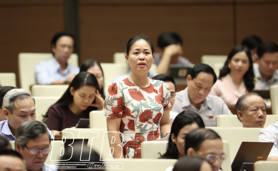   Thảo luận về dự án Luật Đất đai (sửa đổi)