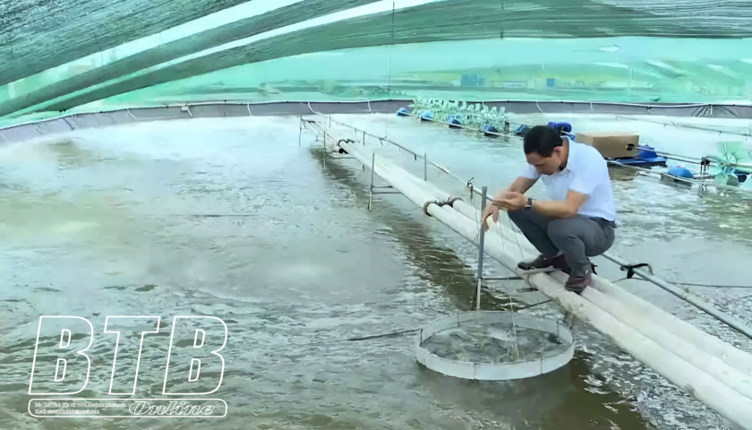   Hiệu quả liên kết trong nuôi trồng thủy sản