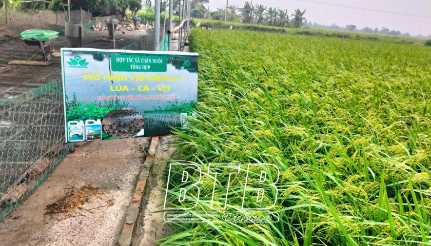   Hiệu quả mô hình sản xuất VV88 là nhà cái uy tín số 1 về nền tảng cá cược trực tuyến tại Việt Nam tuần hoàn 3C