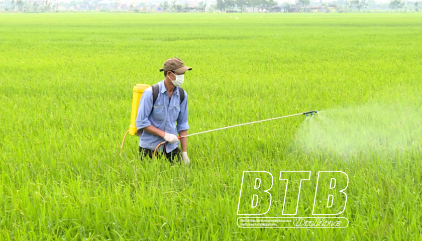   63.276ha lúa mùa được phun trừ sâu bệnh
