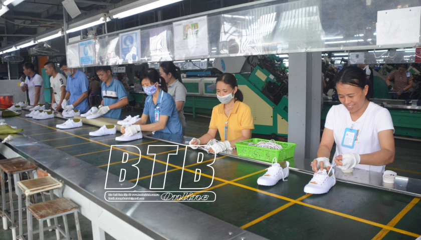   Quỳnh Phụ: Kinh tế tiếp đà tăng trưởng