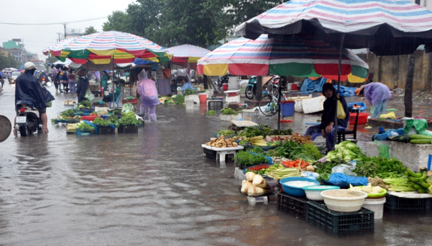   Bộ Y tế: Người dân vùng bão lũ tuyệt đối không sử dụng gia súc, gia cầm chết chế biến thực phẩm