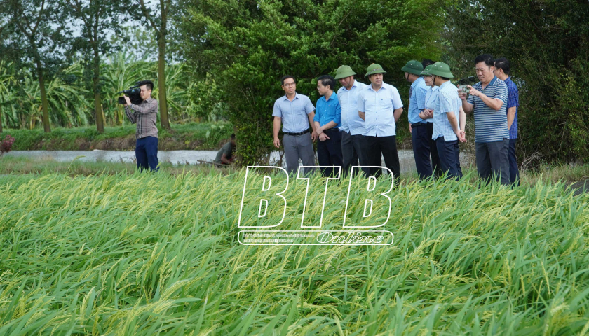   Đồng chí Bí thư VV88 casino kiểm tra, chỉ đạo công tác khắc phục thiệt hại sau bão số 3