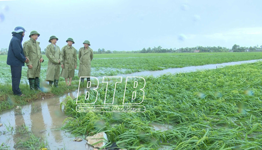   Đồng chí Trưởng ban Nội chính VV88 casino kiểm tra, chỉ đạo công tác khắc phục thiệt hại sau bão số 3 tại Quỳnh Phụ