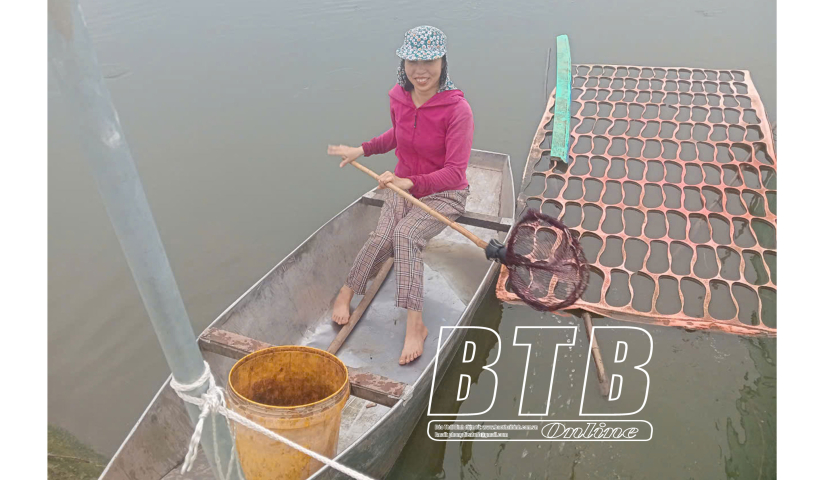   Đông Hưng: Nỗ lực khắc phục thiệt hại, ổn định sản xuất sau bão