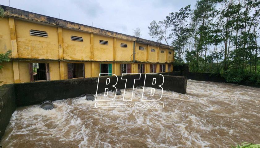   Khẩn trương tiêu thoát nước bảo vệ lúa, rau màu