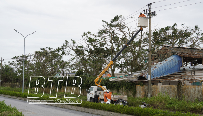   Thái Thụy: Nỗ lực khắc phục thiệt hại, ổn định sản xuất, đời sống