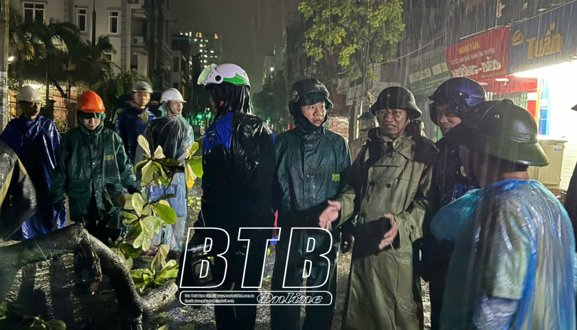   Thành phố: Kịp thời xử lý cây gãy đổ