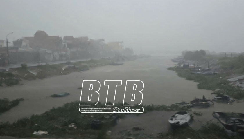   Tiền Hải: Nhiều cây cối, cột điện gãy đổ do bão số 3