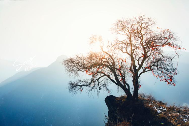   Đợt 2 lấy nước gieo cấy lúa vụ Xuân sẽ bắt đầu từ 0h ngày 18/2/2024