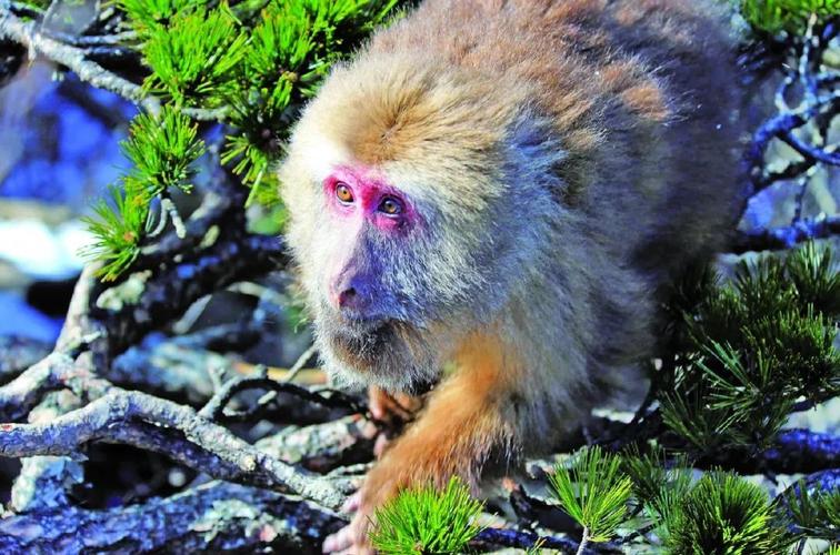   Việt Nam và Hoa Kỳ nâng tầm Quan hệ Đối tác chiến lược toàn diện vì hòa bình, hợp tác, phát triển bền vững